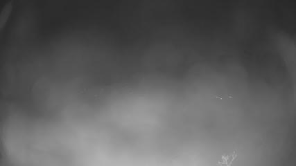 Park City: Park city mountain (parkcitymountain.com)