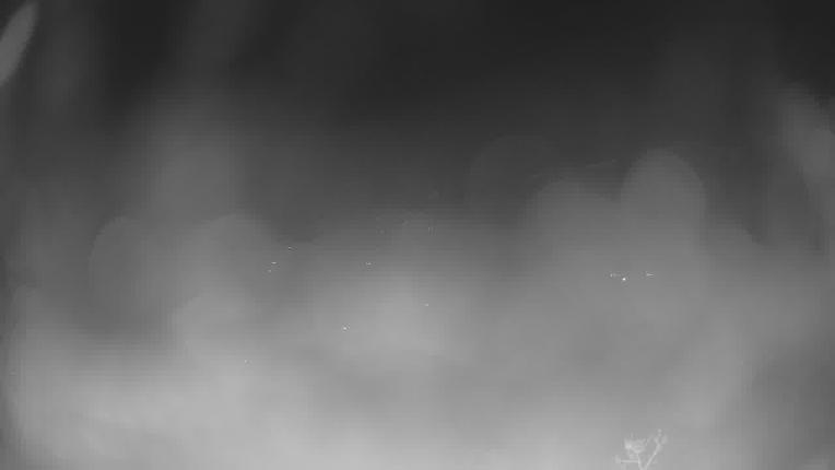 Webcam Park City: Park city mountain