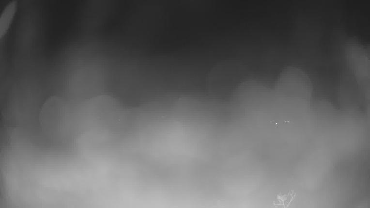 Webcam Park City: Park city mountain