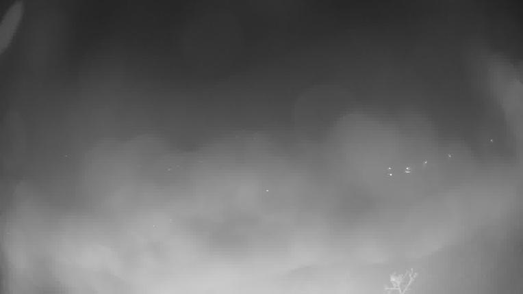 Webcam Park City: Park city mountain