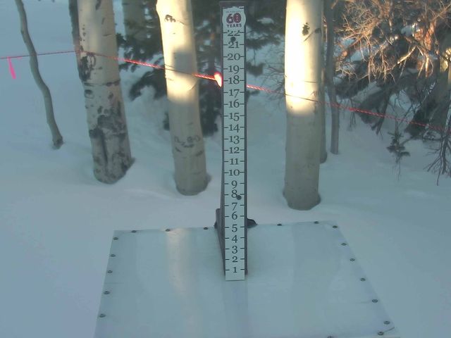 Webcam Park City: Snow Stake