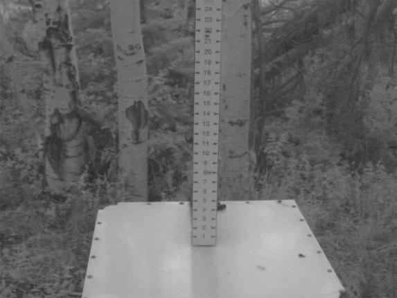 Webcam Park City: Snow Stake