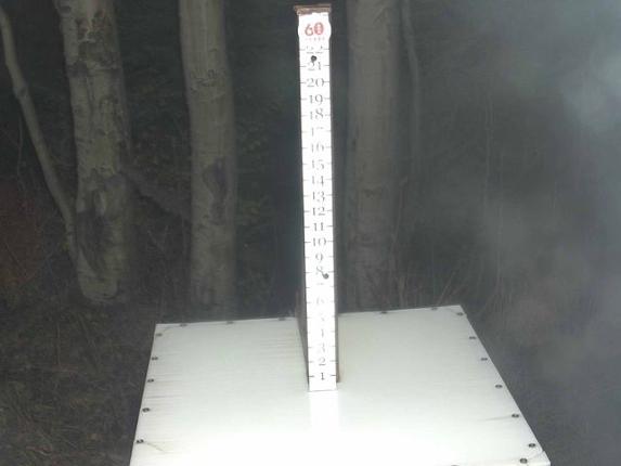 Webcam Park City: Snow Stake