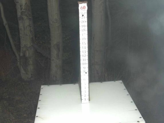 Webcam Park City: Snow Stake