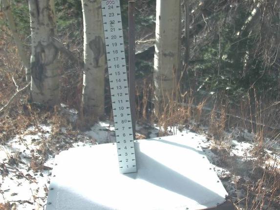 Webcam Park City: Snow Stake