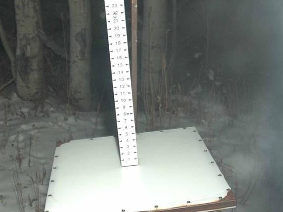 Webcam Park City: Snow Stake