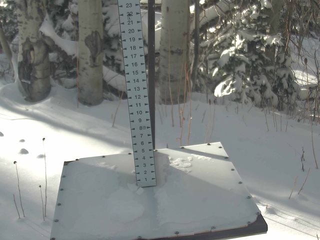 Webcam Park City: Snow Stake