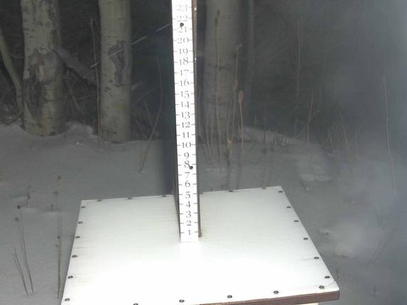 Webcam Park City: Snow Stake