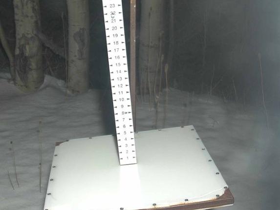 Webcam Park City: Snow Stake