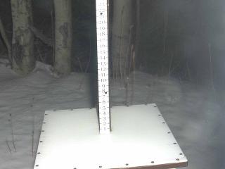 Park City: Snow Stake (parkcitymountain.com)