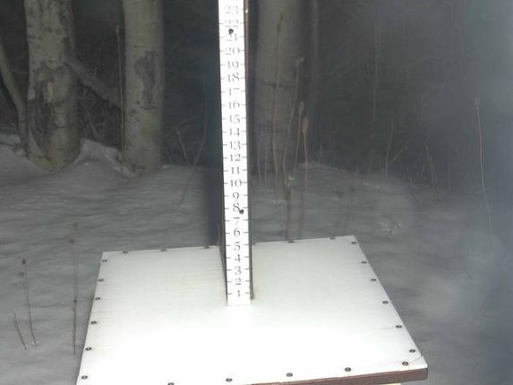 Webcam Park City: Snow Stake