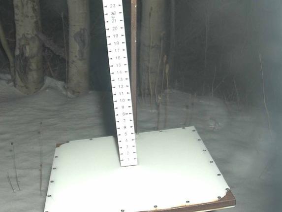Webcam Park City: Snow Stake