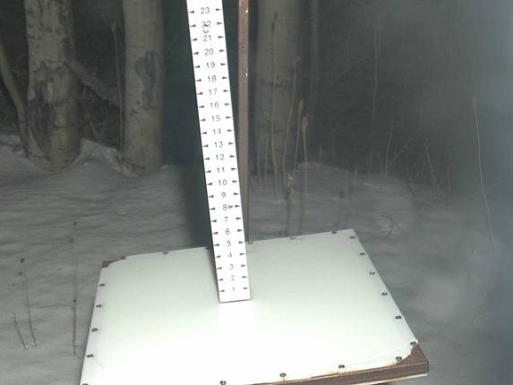 Webcam Park City: Snow Stake