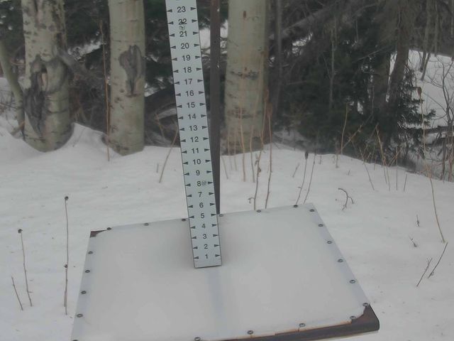 Webcam Park City: Snow Stake