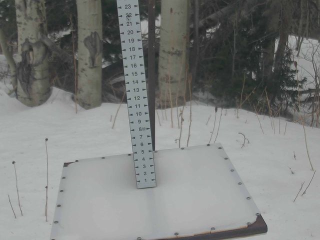 Webcam Park City: Snow Stake