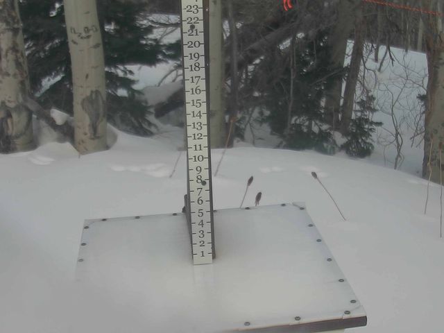 Webcam Park City: Snow Stake