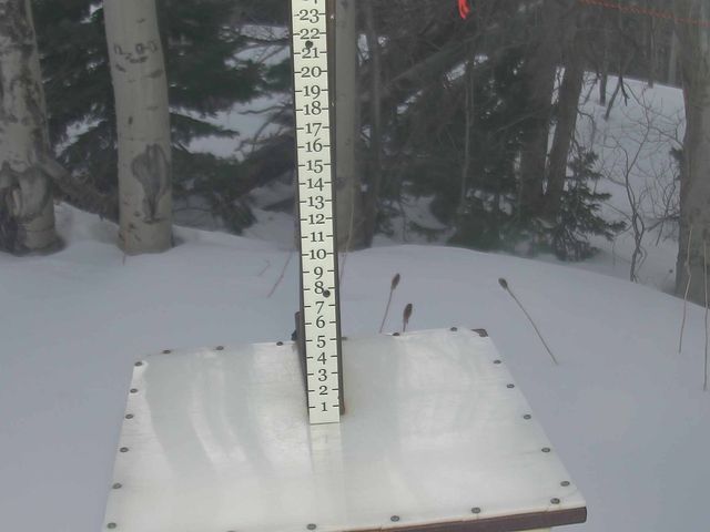 Webcam Park City: Snow Stake