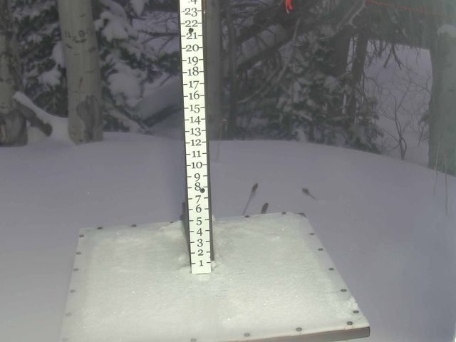 Webcam Park City: Snow Stake