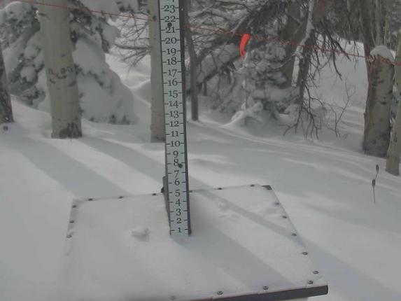 Webcam Park City: Snow Stake