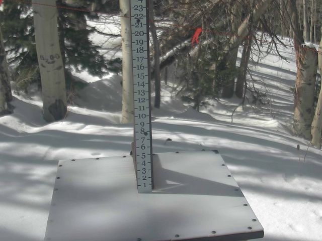 Webcam Park City: Snow Stake