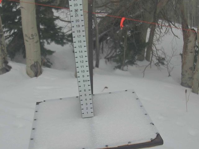 Webcam Park City: Snow Stake