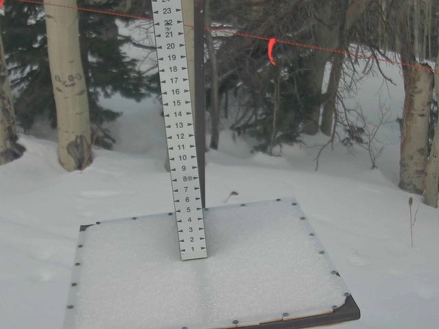 Webcam Park City: Snow Stake