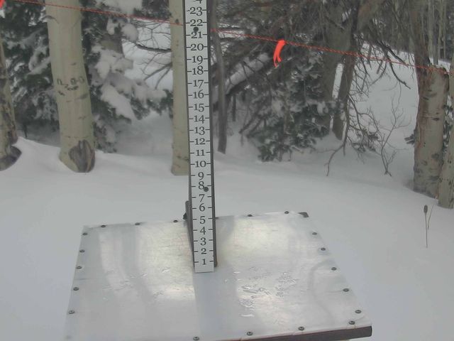 Webcam Park City: Snow Stake