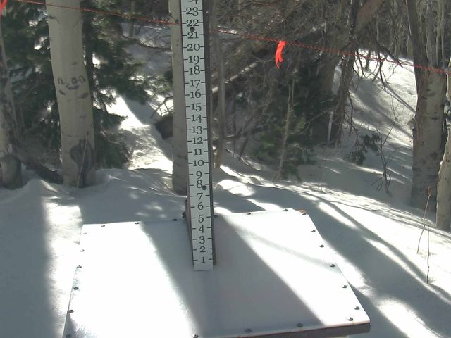 Webcam Park City: Snow Stake