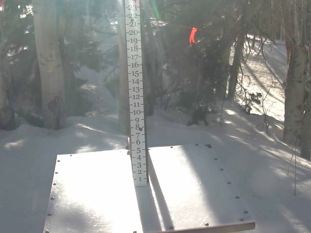 Webcam Park City: Snow Stake