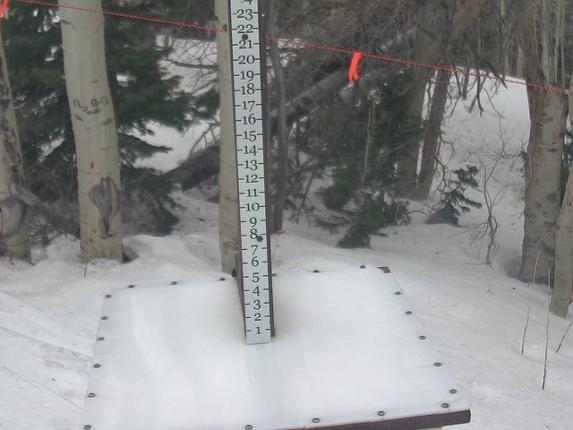 Webcam Park City: Snow Stake