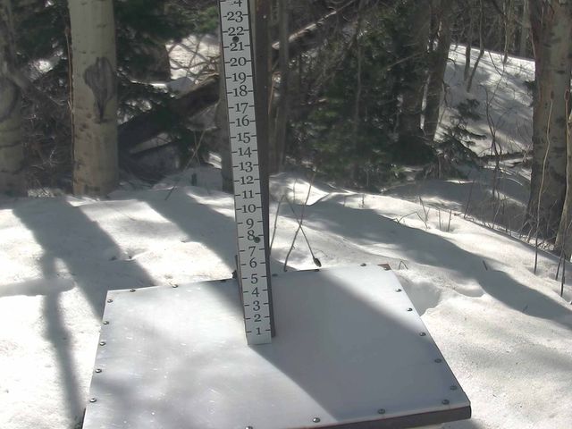 Webcam Park City: Snow Stake