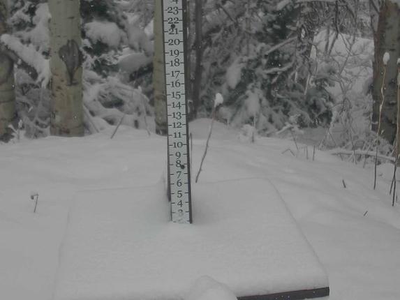 Webcam Park City: Snow Stake
