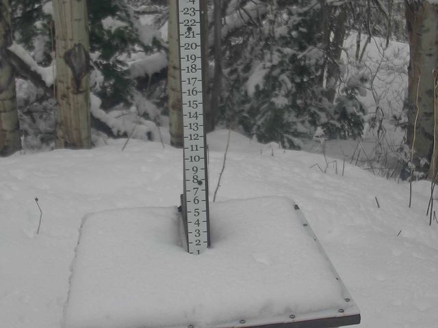 Webcam Park City: Snow Stake