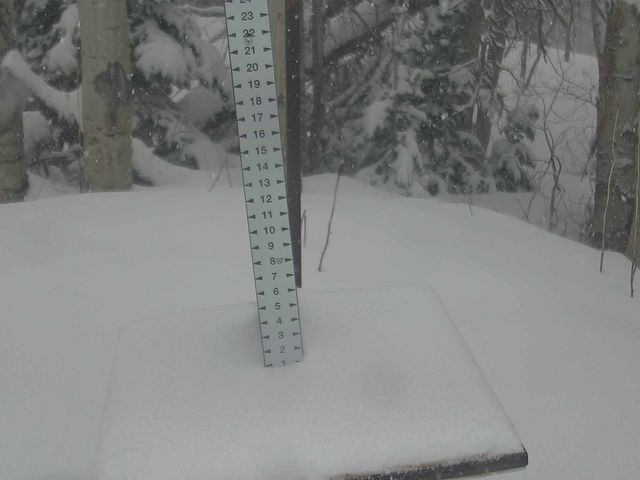 Webcam Park City: Snow Stake