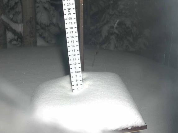 Webcam Park City: Snow Stake