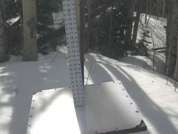 Webcam Park City: Snow Stake
