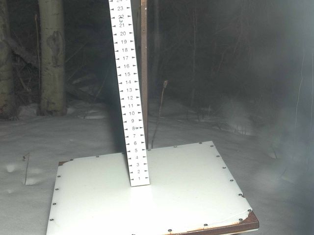 Webcam Park City: Snow Stake