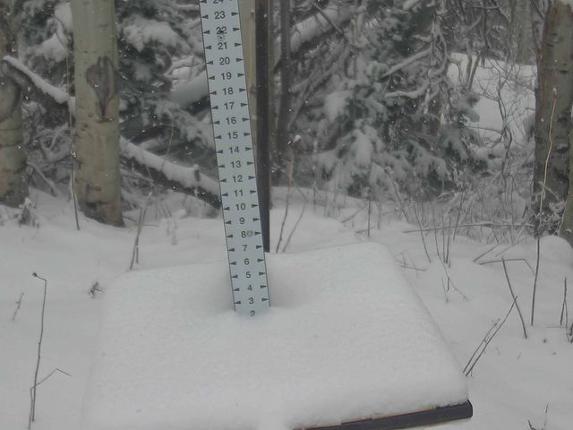 Webcam Park City: Snow Stake