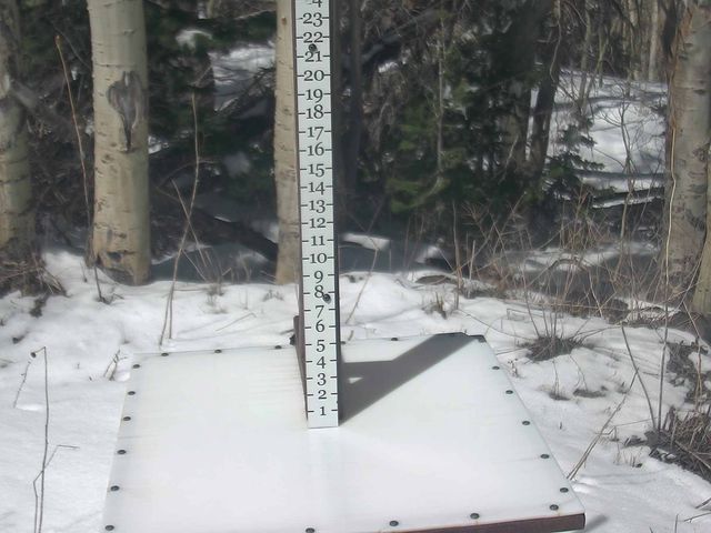 Webcam Park City: Snow Stake