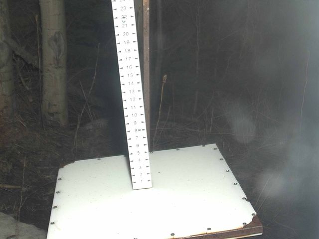 Webcam Park City: Snow Stake