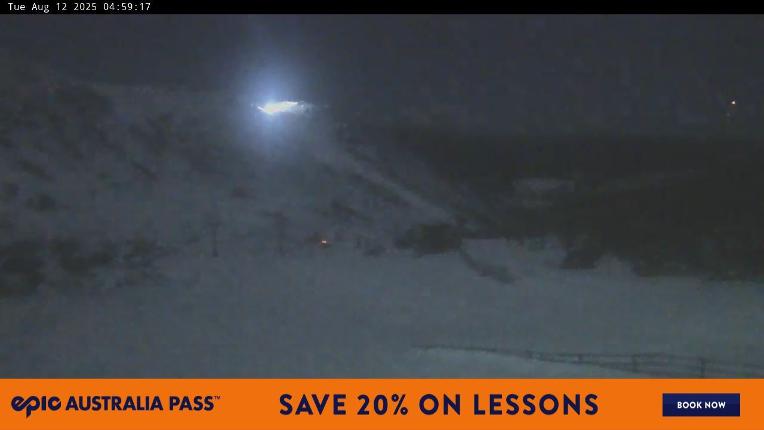 Webcam Perisher: Blue cow