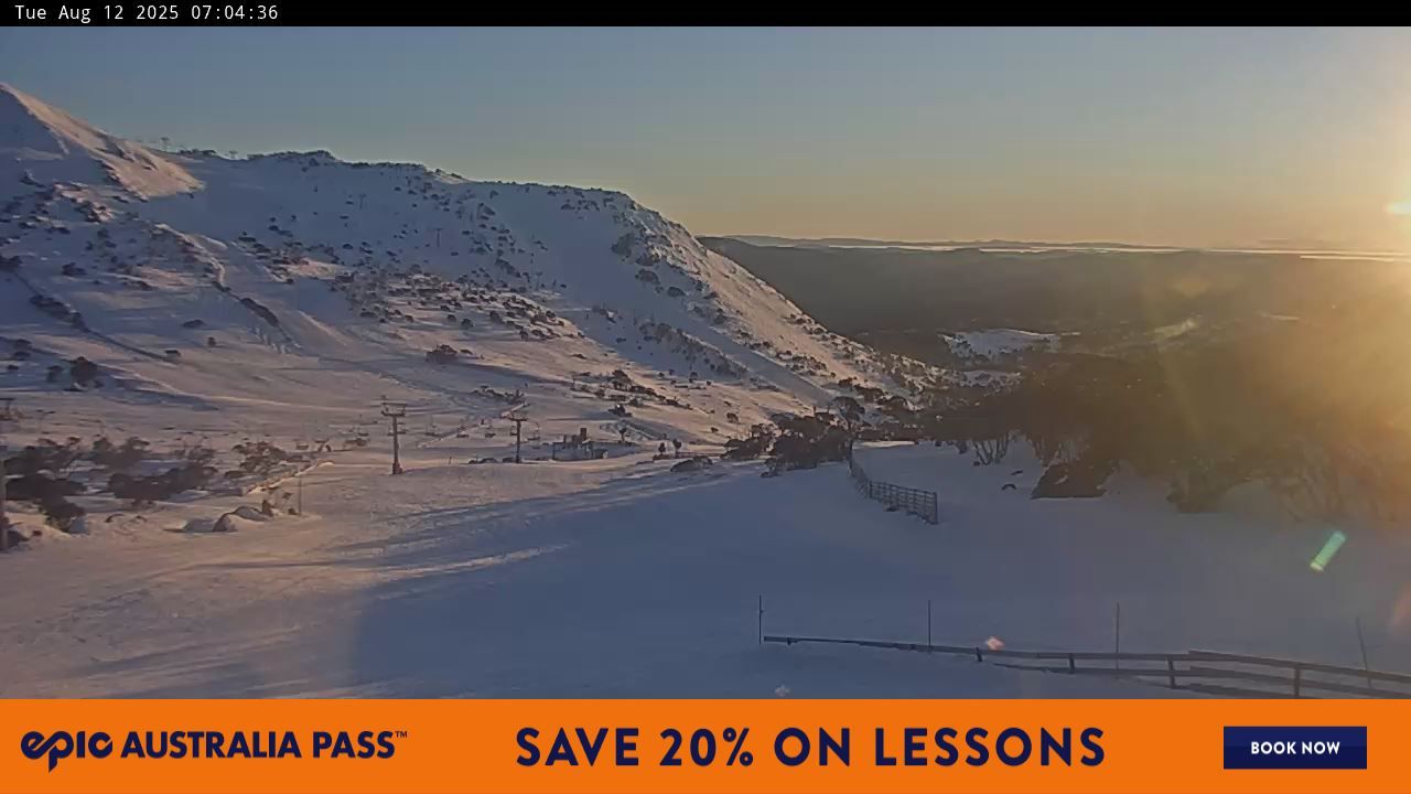 Webcam Perisher: Blue cow