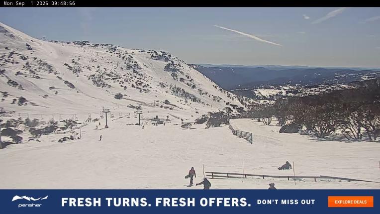 Webcam Perisher: Blue cow