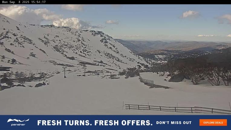 Webcam Perisher: Blue cow