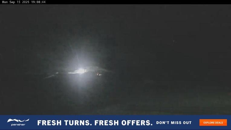 Webcam Perisher: Blue cow