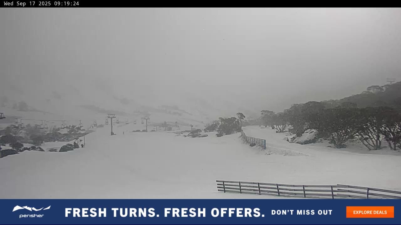 Webcam Perisher: Blue cow