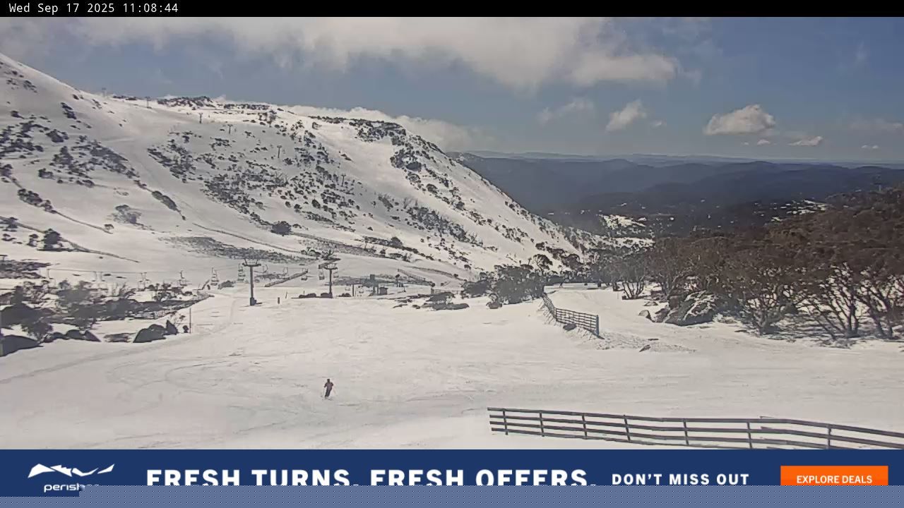 Webcam Perisher: Blue cow