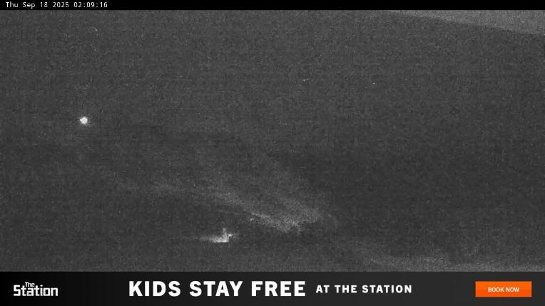 Webcam Perisher: Blue cow