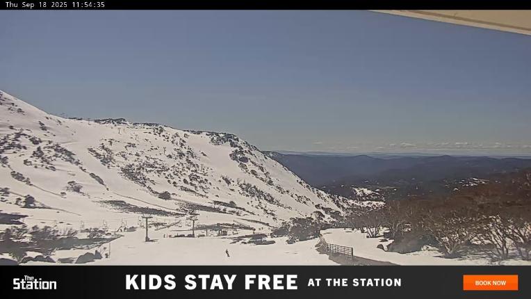 Webcam Perisher: Blue cow