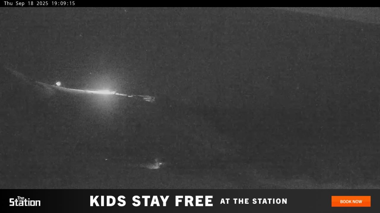 Webcam Perisher: Blue cow